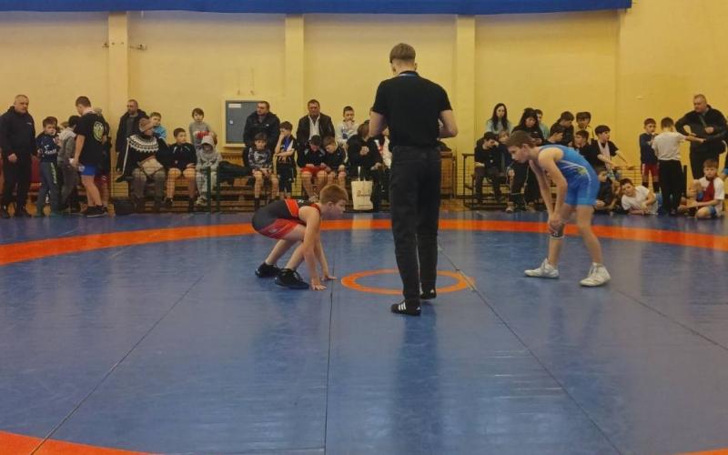 Спортсмени Малинської ДЮСШ ім. Й. Л. Кульчицького вибороли 16 медалей на чемпіонаті Житомирської області з вільної боротьби