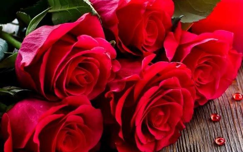 Володимир Студінський відзначає День народження: щирі вітання від Малинської громади