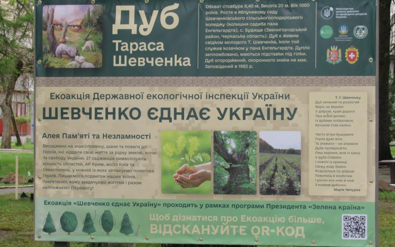 На Малинщині з’явилася своя Алея Пам’яті та Незламності в рамках екологічної акції "Шевченко єднає Україну"